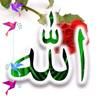 jamilashahzad01